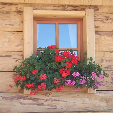 Gasthof Haus Sonnleitn 3*