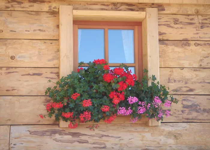 Pensionat Haus Sonnleitn 3*